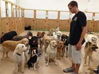 training pic 12 - sit with mitch